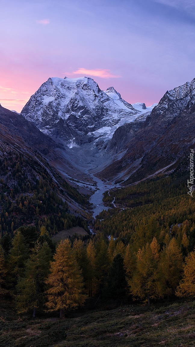 Widok z doliny Val dHerens na szczyt Mont Collon