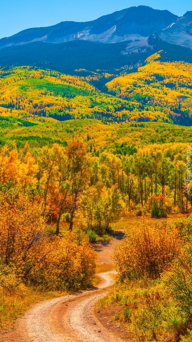 Widok z drogi na góry Sawatch Range