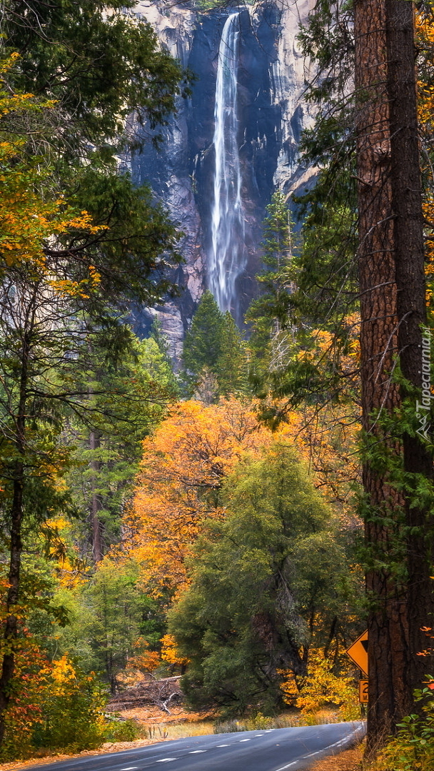 Widok z drogi na wodospad Bridalveil Fall