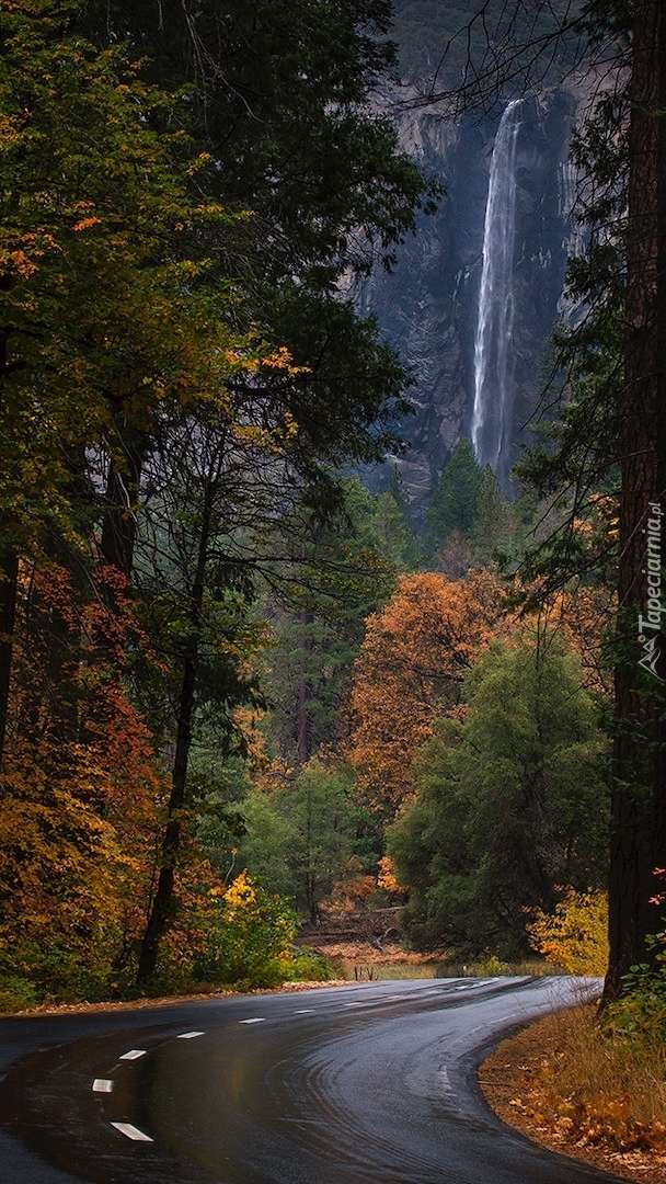 Widok z drogi na wodospad w Parku Narodowym Yosemite