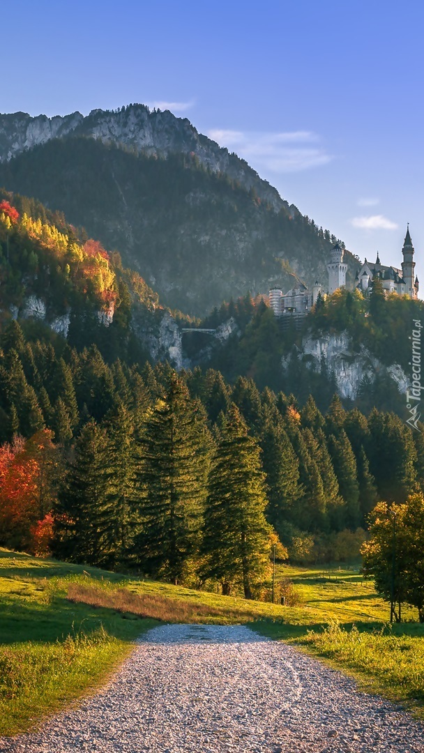 Widok z drogi na zamek Neuschwanstein