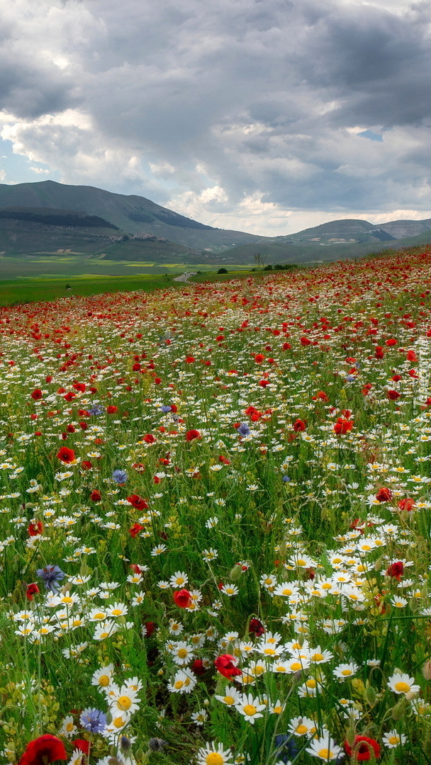 Widok z łąki na góry Sibillini Mountains