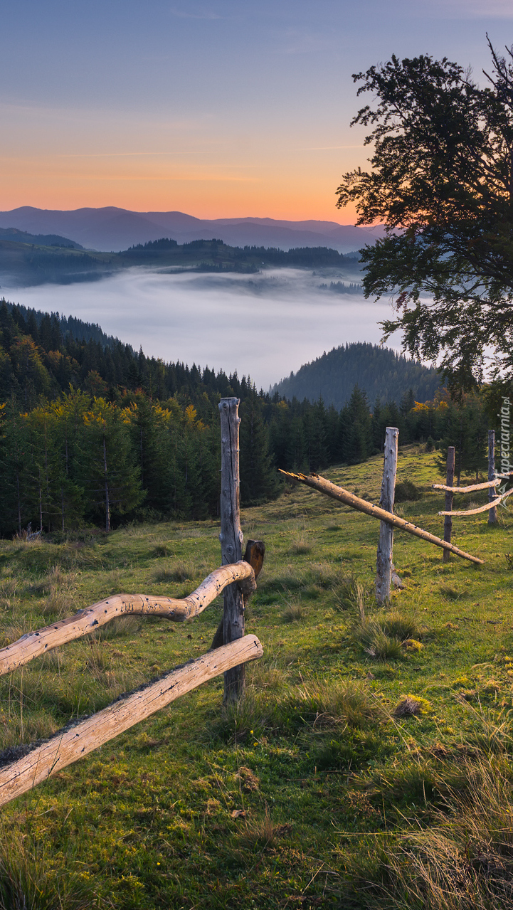 Widok z łąki na zamgloną dolinę