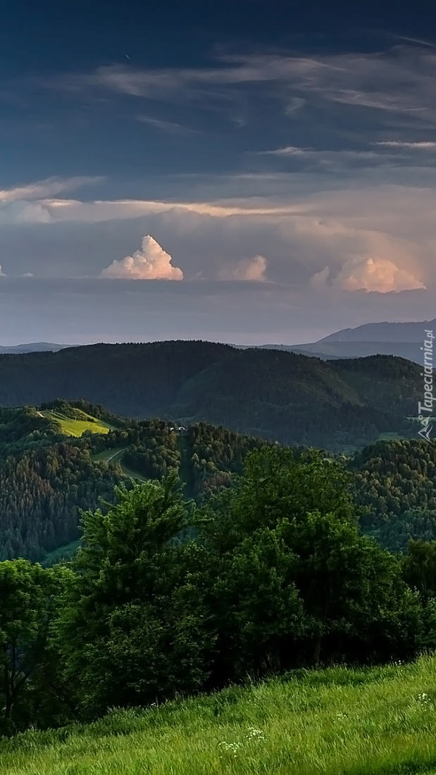 Widok z zielonej łąki na góry