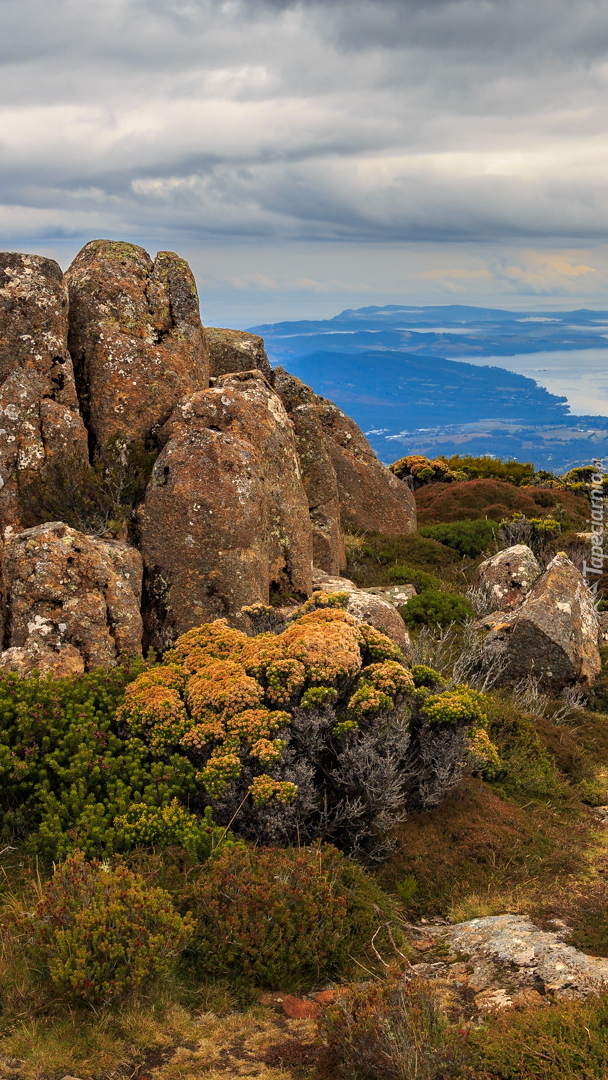 Widok ze szczytu Mount Wellington