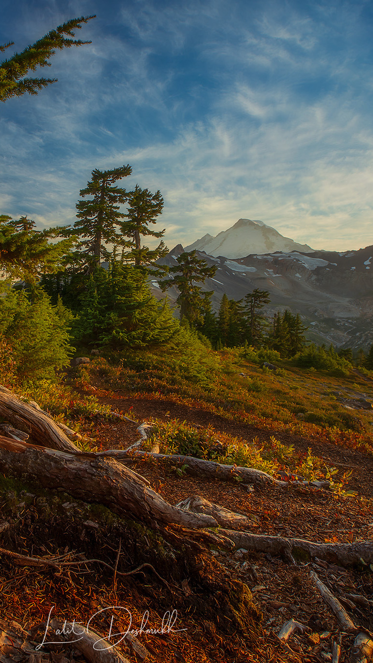 Widok ze wzgórza na górę Mount Baker