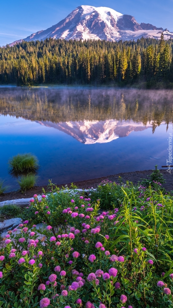 Widok znad jeziora Reflection Lake na Mount Rainier