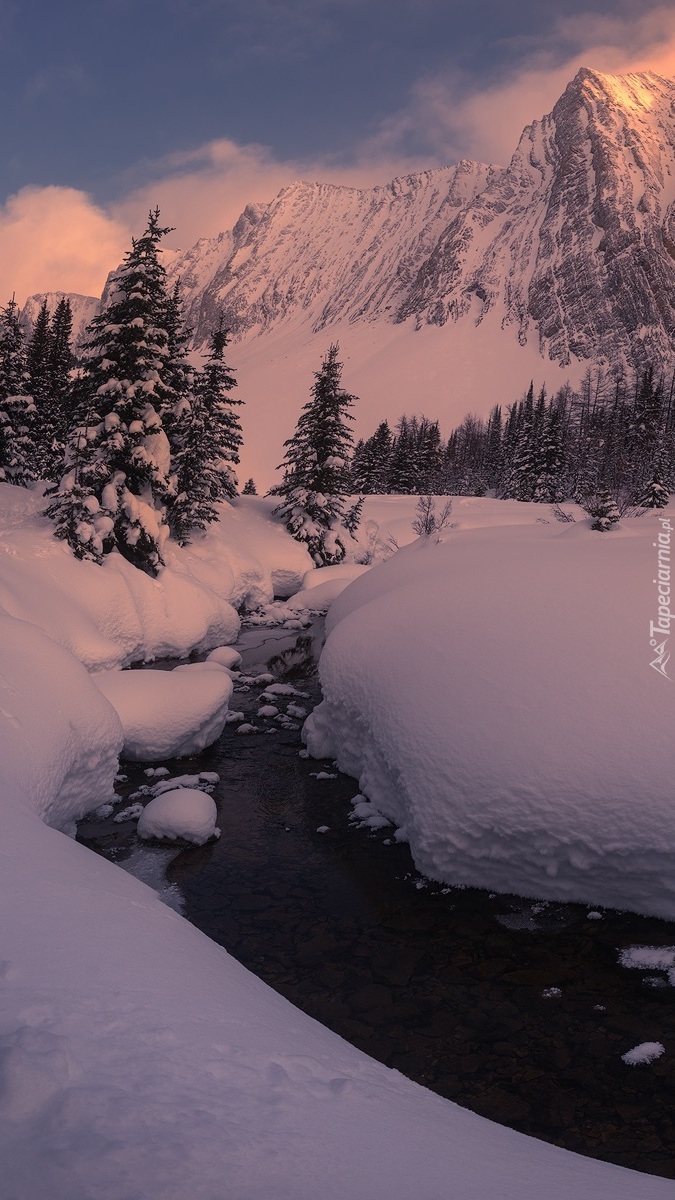 Widok znad rzeki na ośnieżone góry Canadian Rockies