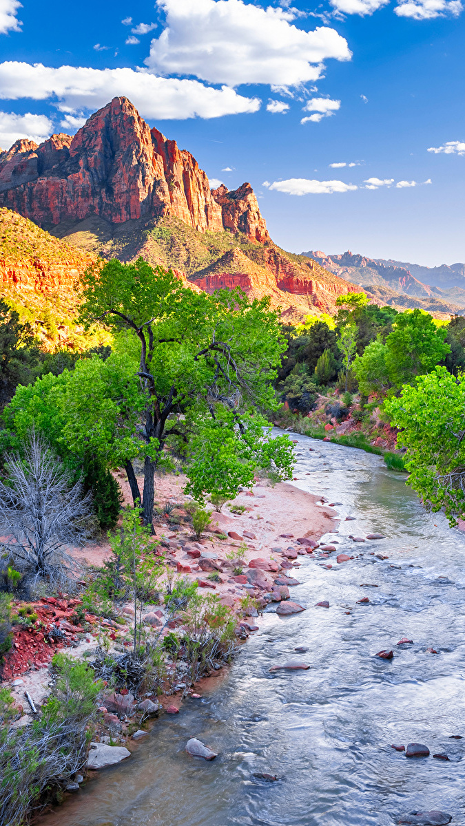 Widok znad rzeki Virgin River na górę Watchman