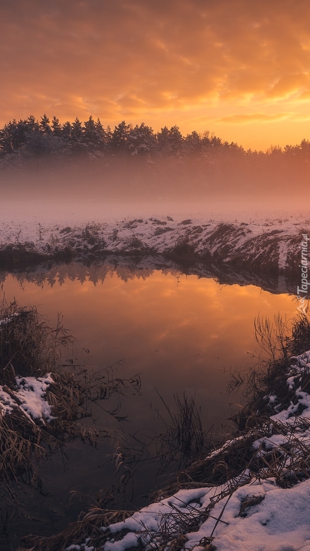 Wieczorna mgła nad rzeką