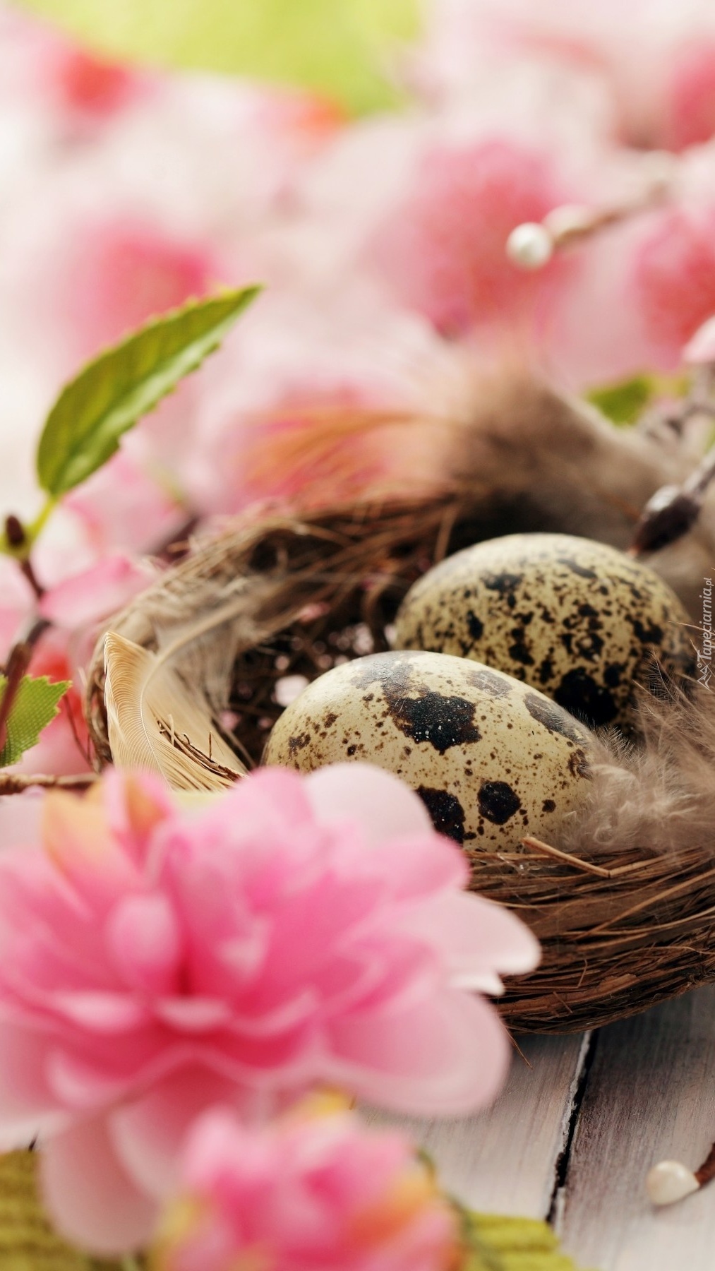 Wielkanocne jajka w malutkim gniazdku