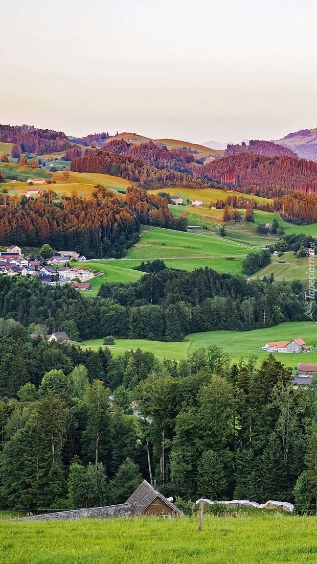 Wieś i drzewa na wzgórzach w szwajcarskiej gminie Stein