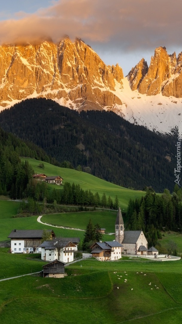 Wieś Santa Maddalena w dolinie Val di Funes w górach