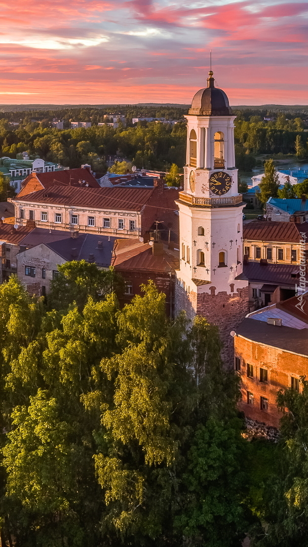 Wieża zegarowa w Wyborgu