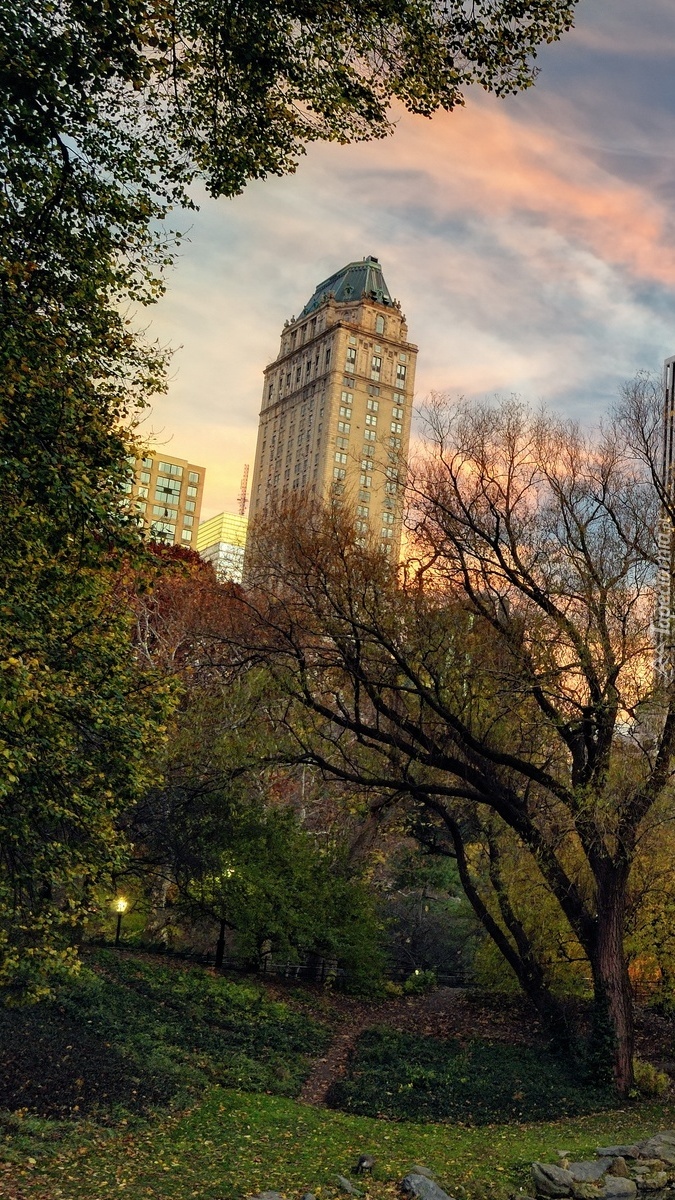 Wieżowce Manhattanu z widokiem na Central Park w Nowym Jorku