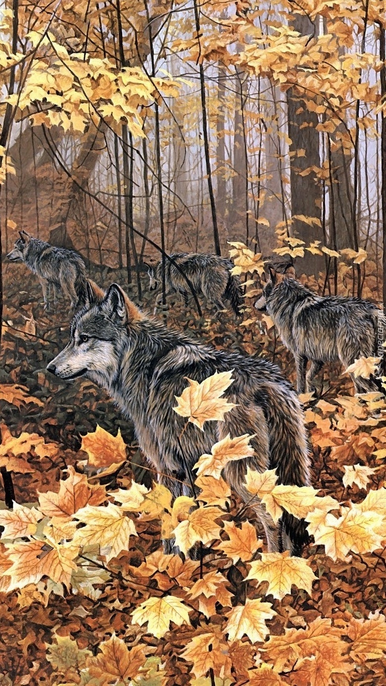 Wilki w jesiennym lesie