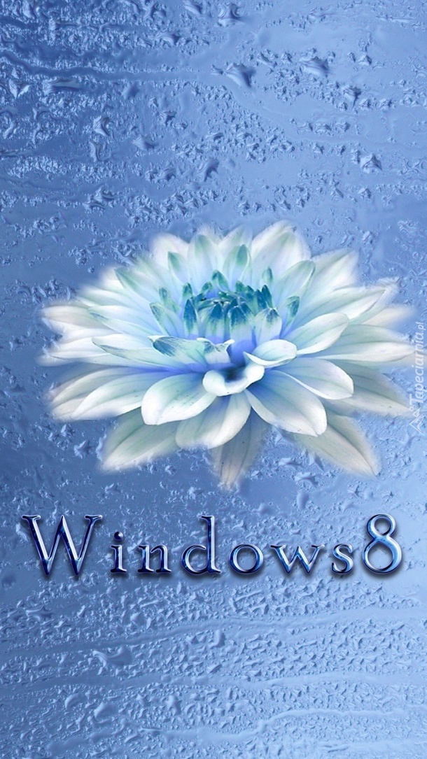 Windows 8