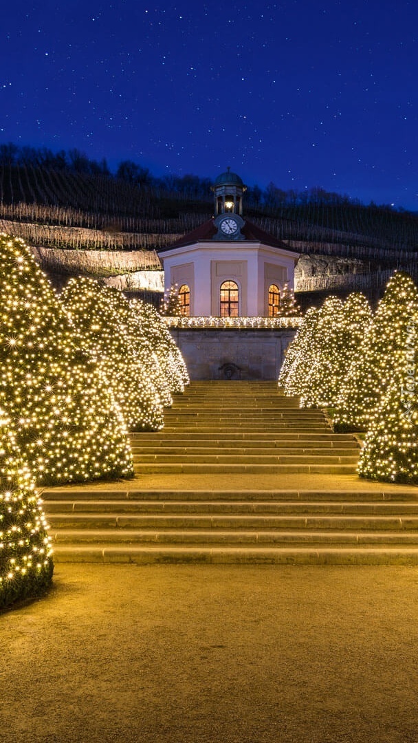 Winiarnia Schloss Wackerbarth w świątecznej scenerii