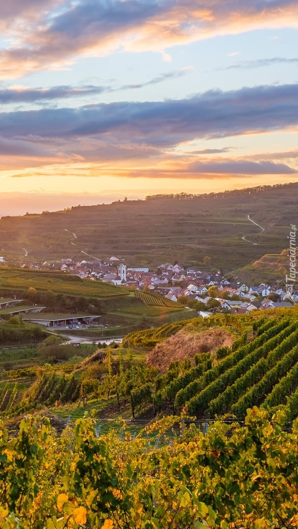 Winnice na wzgórzach Kaiserstuhl