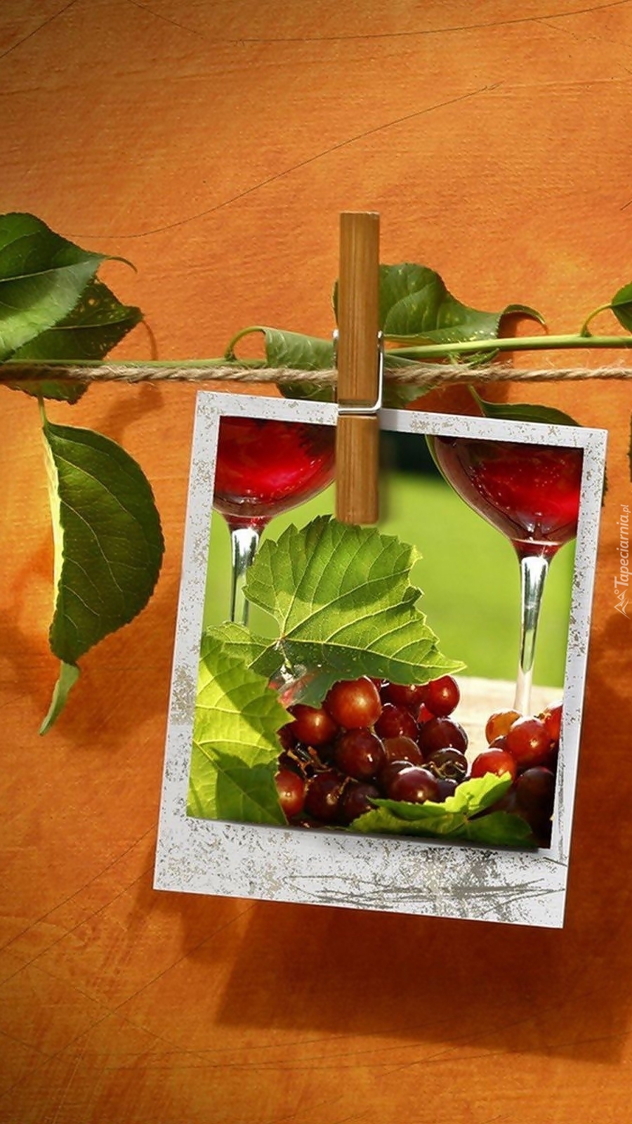 Wino i winogrona na fotografii