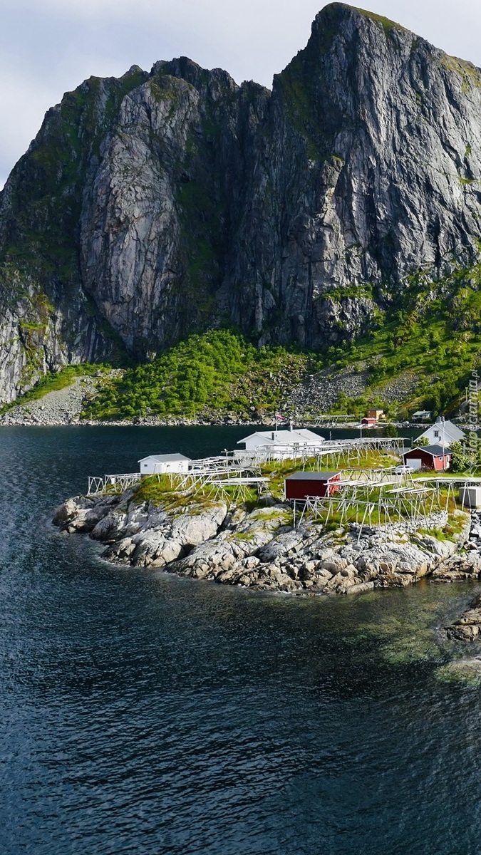 Wioska Reine w Norwegii