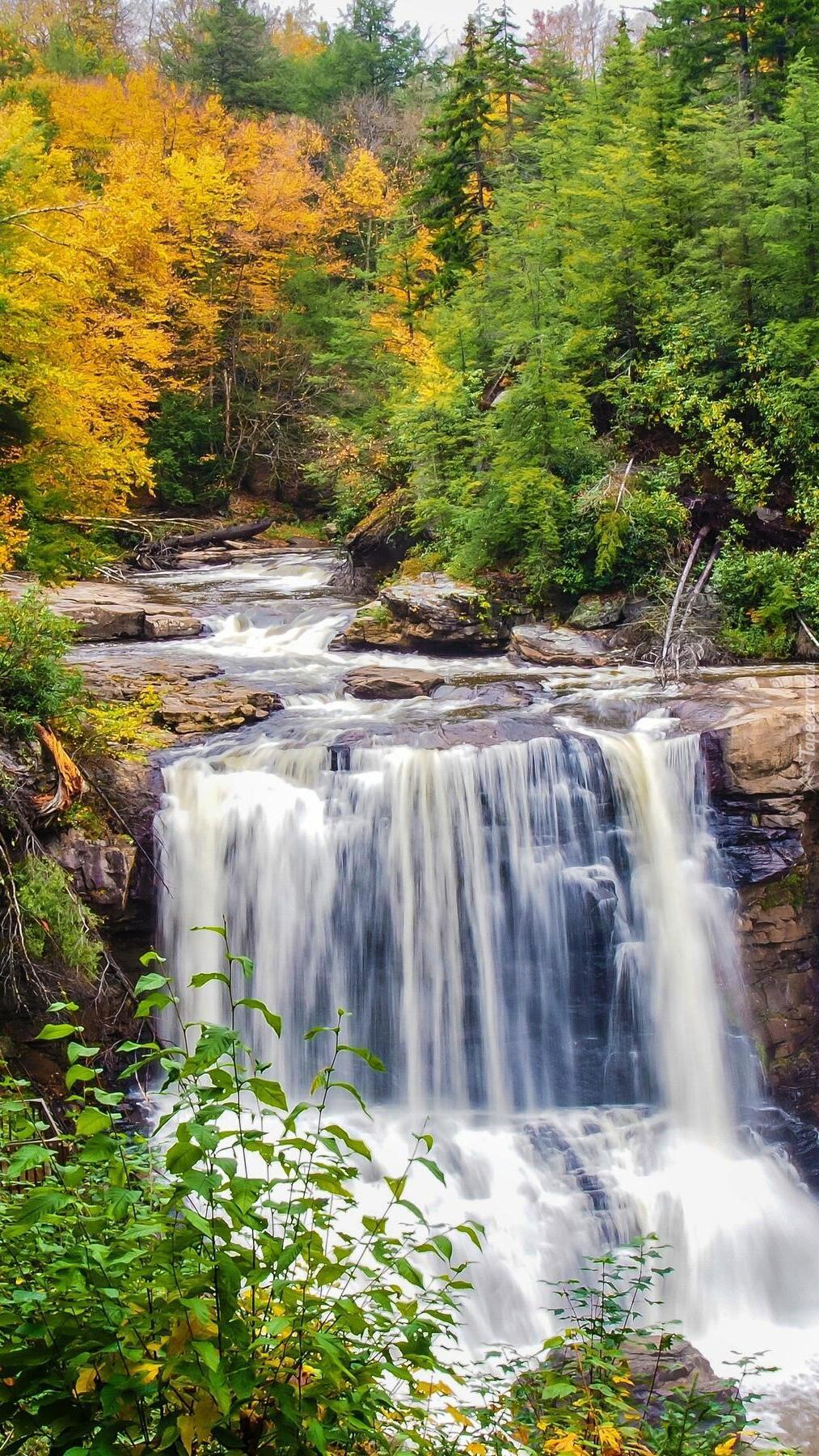 Wodospad Blackwater Falls