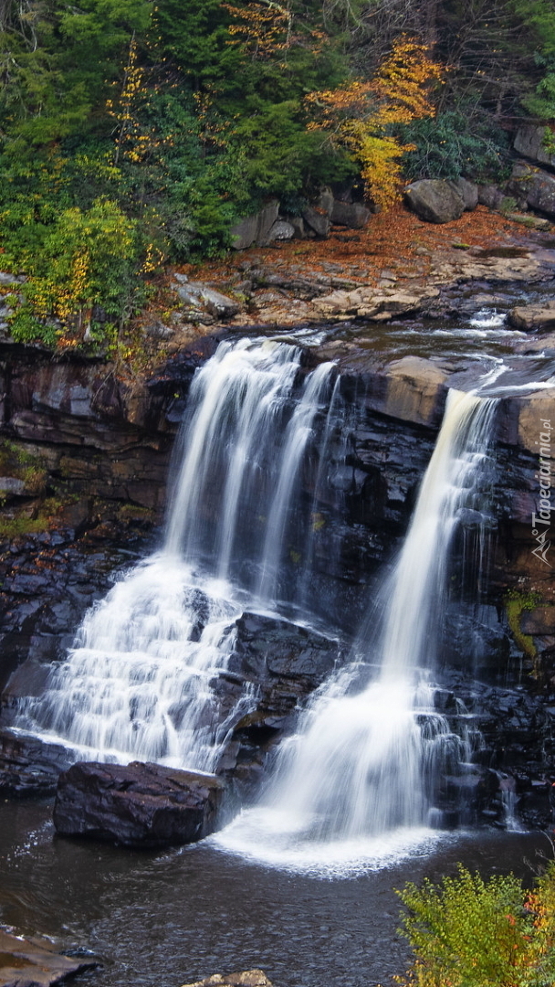 Wodospad Blackwater Falls