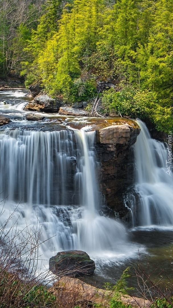 Wodospad Blackwater Falls