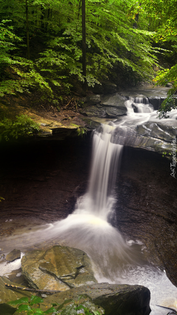 Wodospad Blue Hen Falls