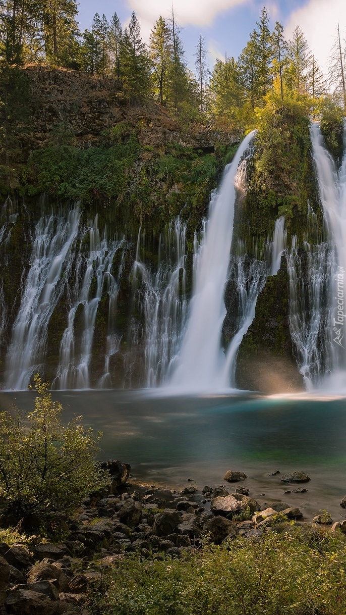 Wodospad Burney Falls w Kalifornii