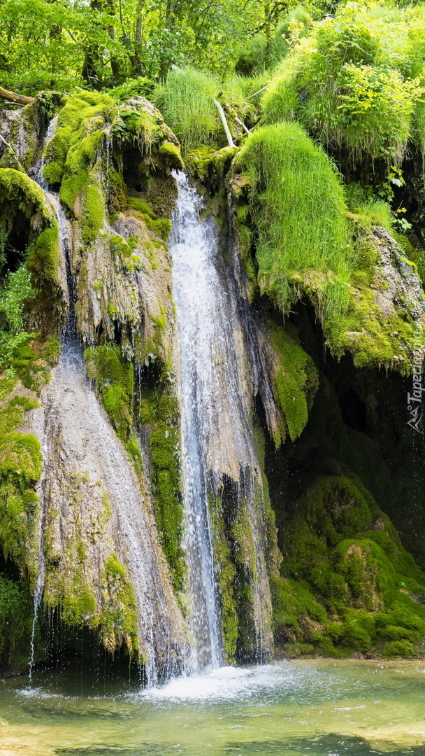 Wodospad Cascade des Tufs na omszałych skałach