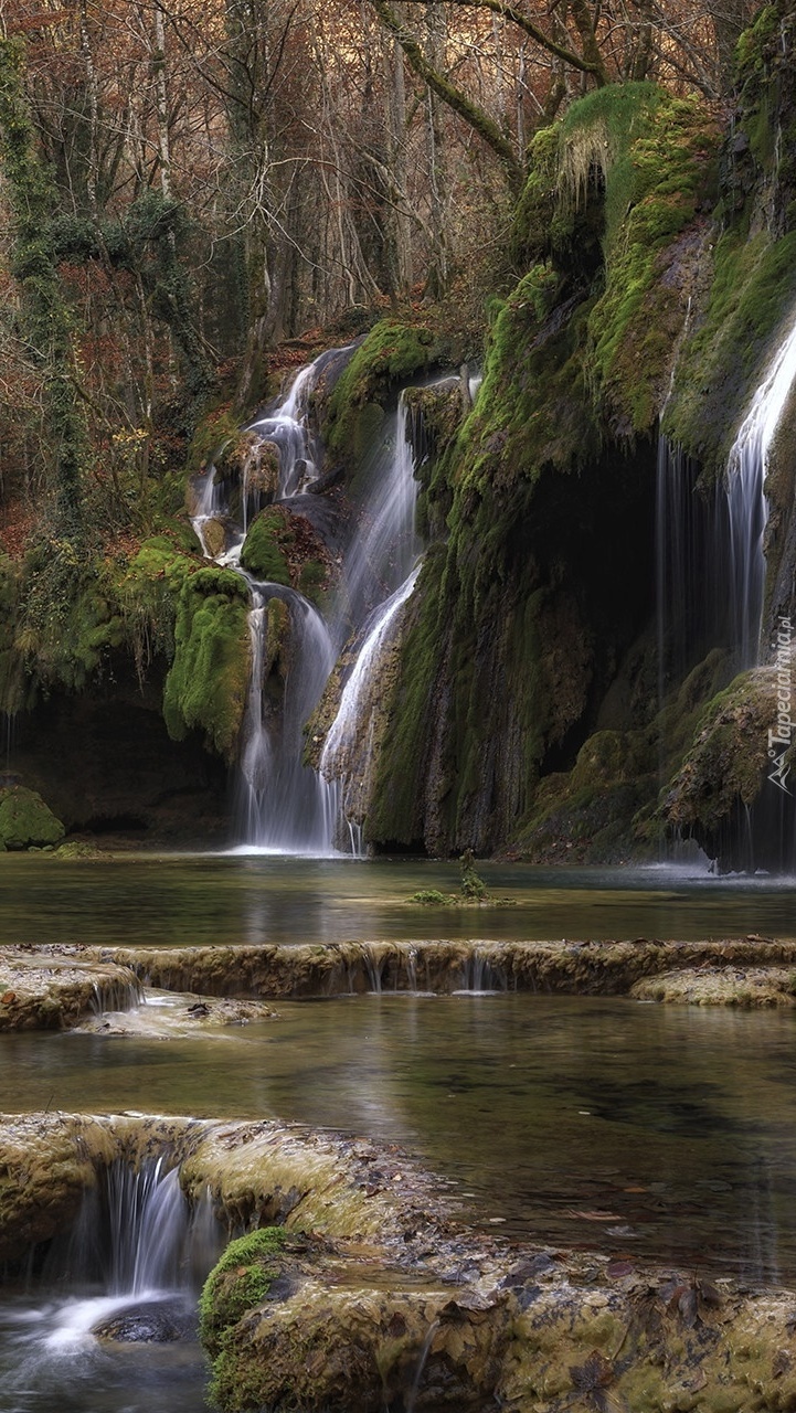 Wodospad Cascade des tufs w lesie