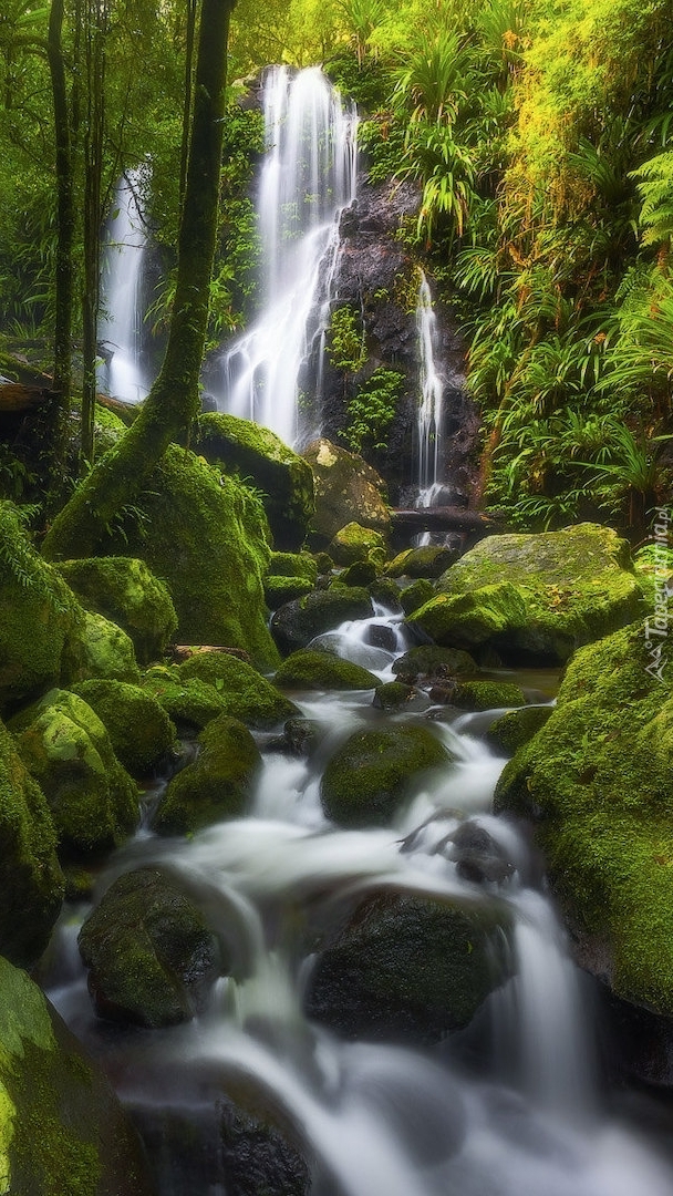 Wodospad Chalahn Falls