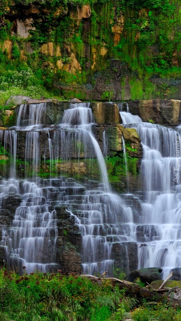 Wodospad Chittenango Falls