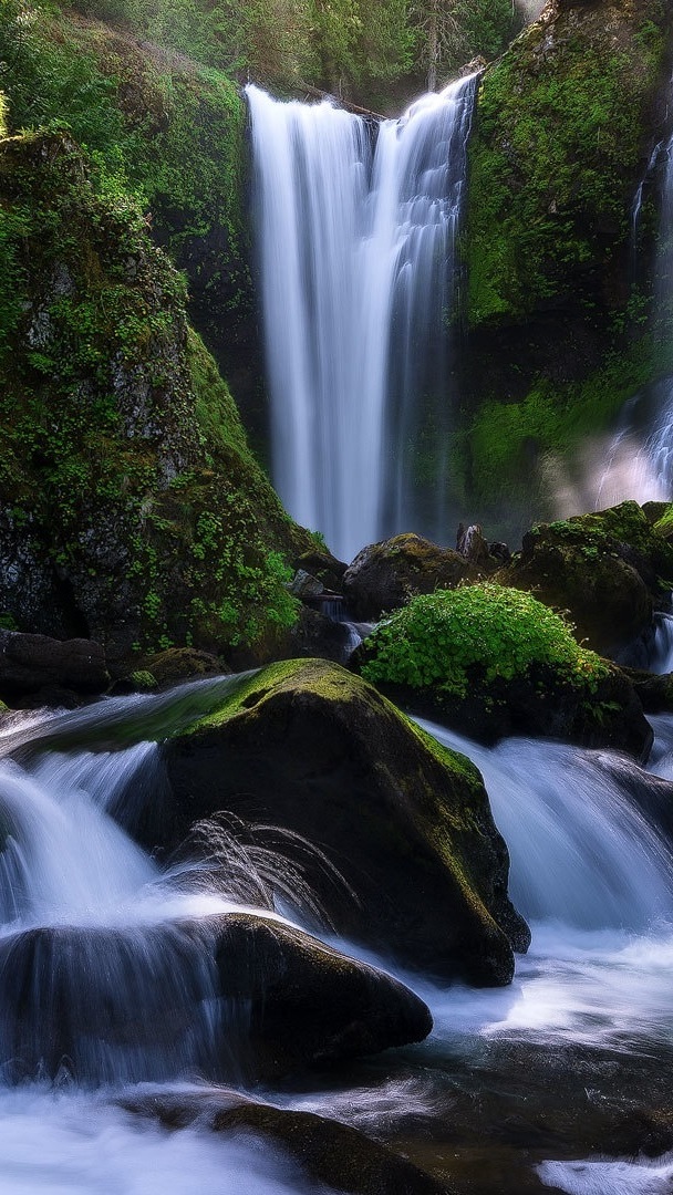 Wodospad Creek Falls na omszałych skałach