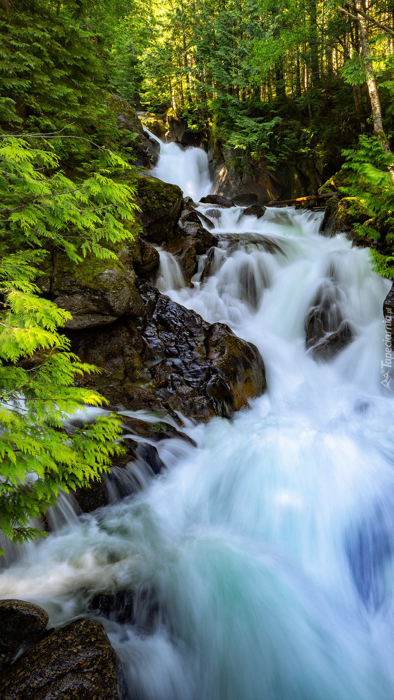 Wodospad Deception Falls