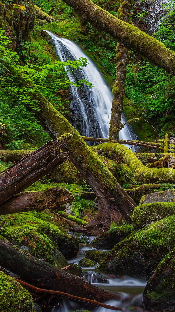 Wodospad Dry Creek Falls