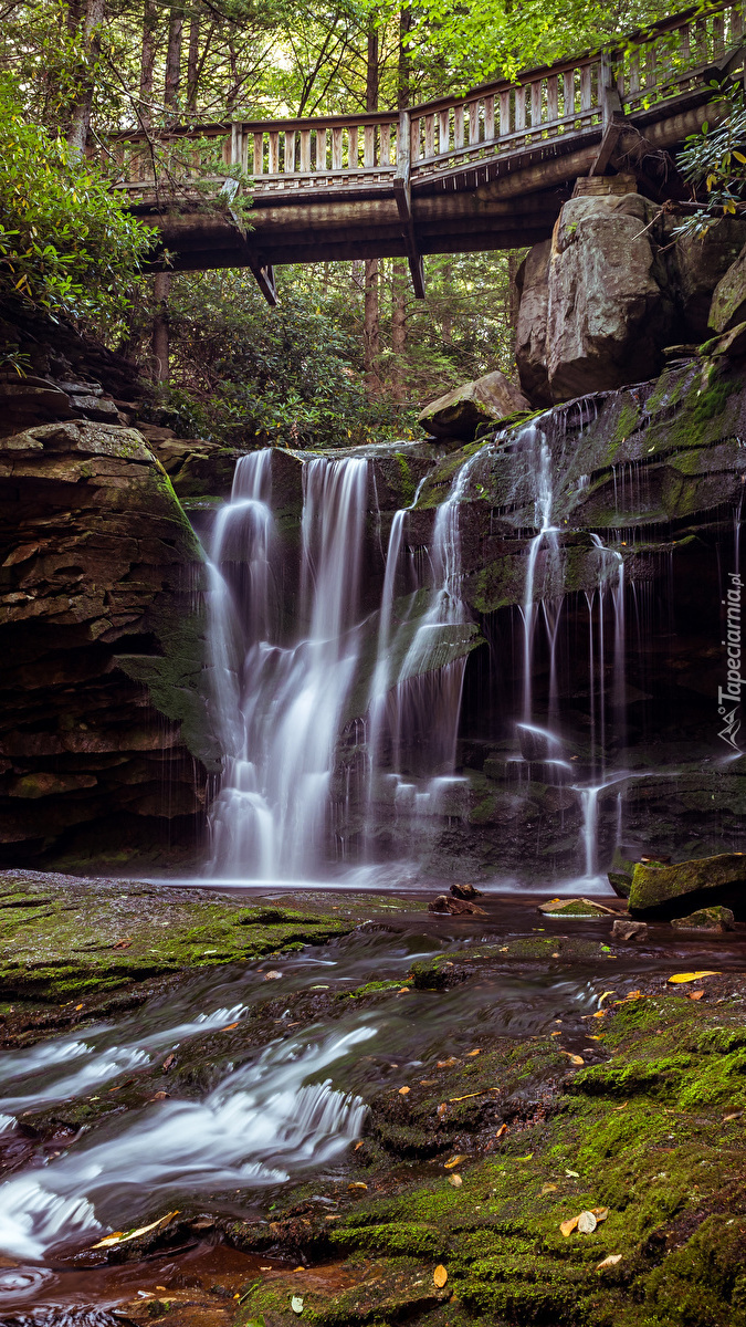 Wodospad Elekala Falls