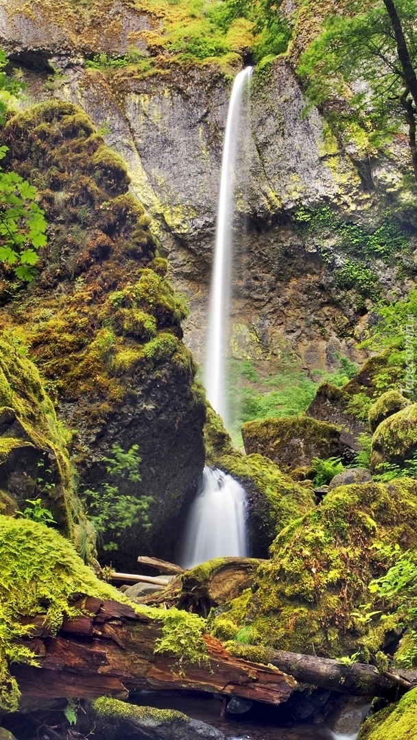 Wodospad Elowah Falls