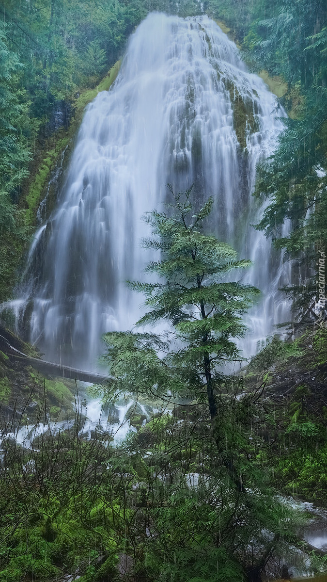 Wodospad Fairy Falls
