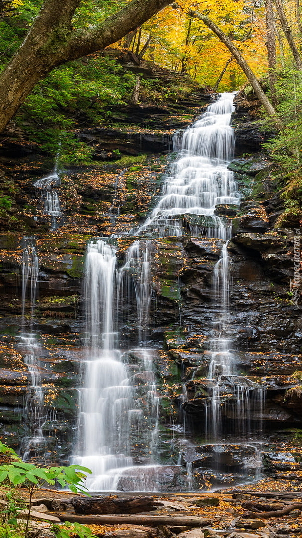 Wodospad Ganoga Falls w Pensylwanii