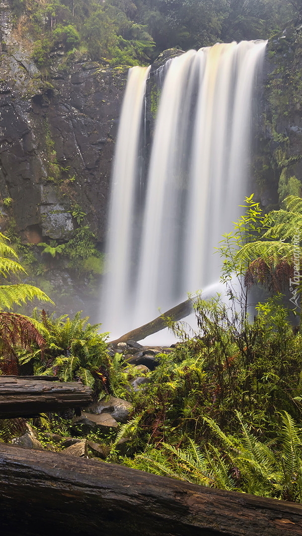 Wodospad Hopetoun Falls