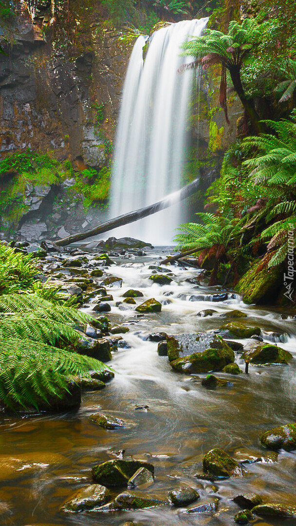 Wodospad Hopetoun Falls