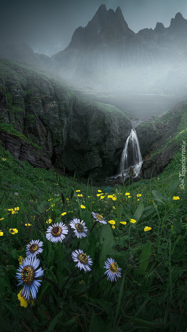 Wodospad i kwiaty na łące
