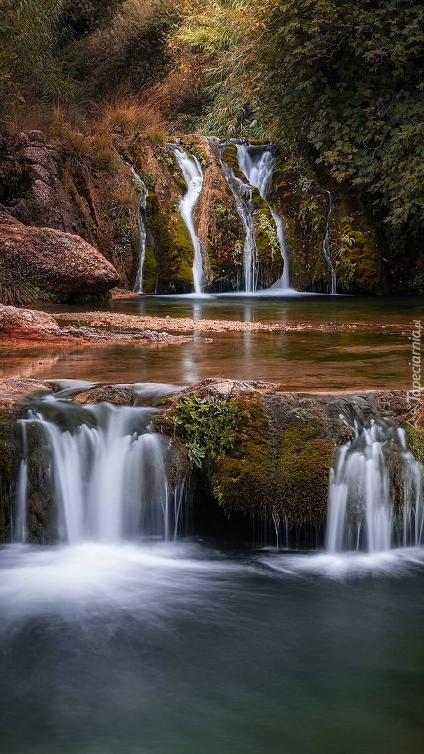 Wodospad i progi skalne na leśnej rzece