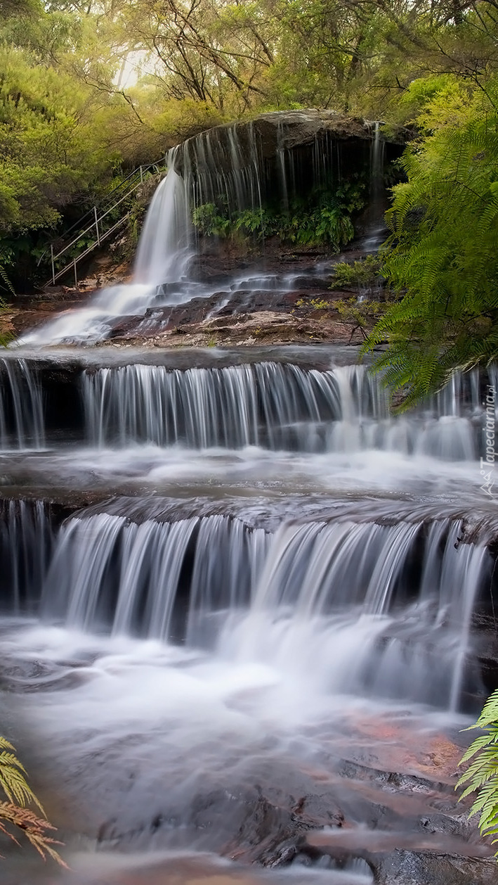 Wodospad kaskadowy na leśnej rzece