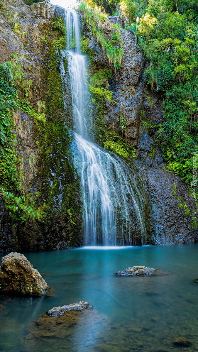 Wodospad Kitekite Falls