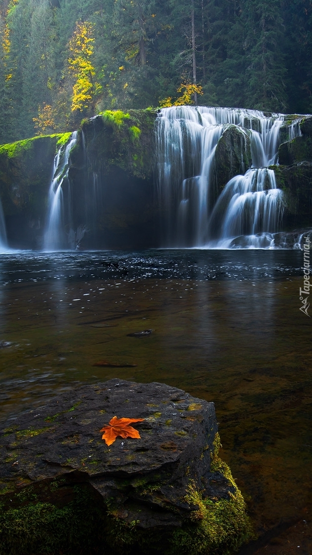 Wodospad Lower Lewis River Falls