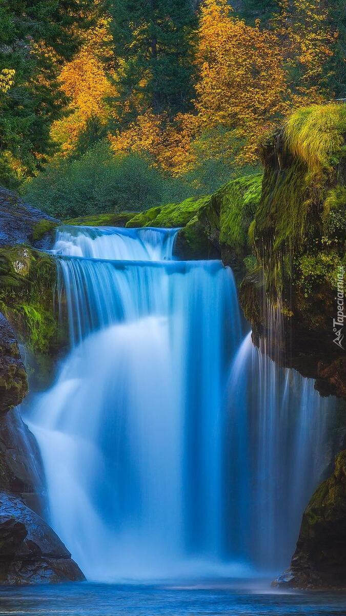 Wodospad Lower Lewis River Falls