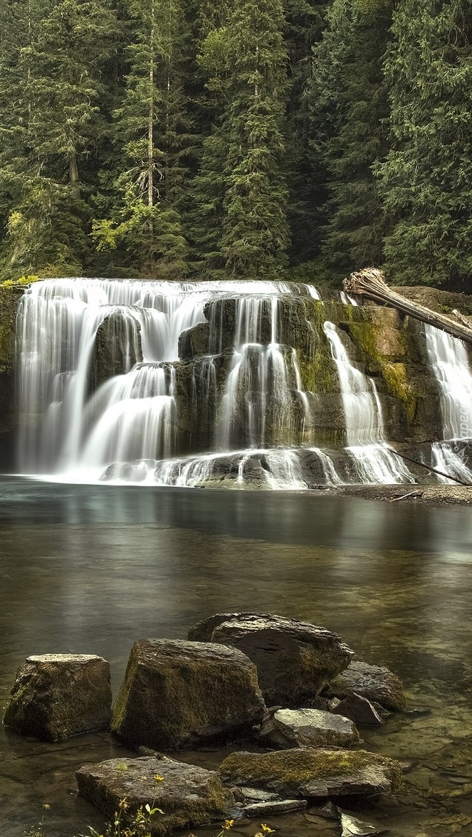 Wodospad Lower Lewis River Falls w rezerwacie Gifford Pinchot